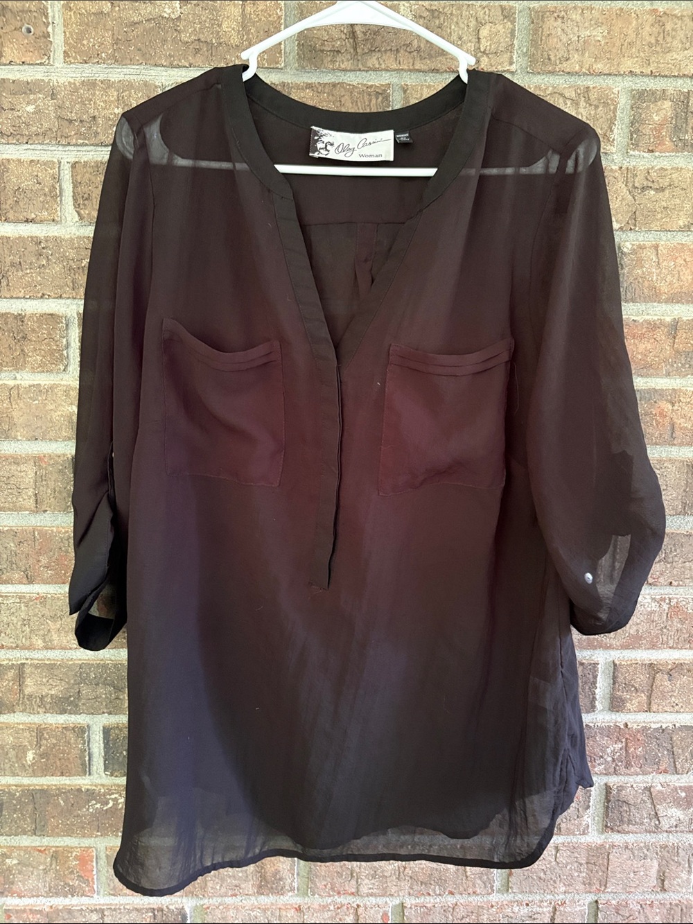 Oleg Cassini Sheer Black Tunic Blouse